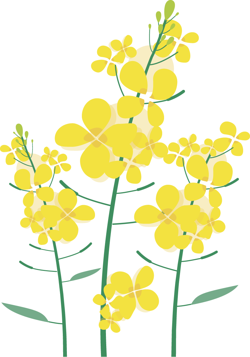 《爱与陪伴,静待花开》发育迟缓儿童妈妈感悟原始点的神奇 《爱与陪伴,静待花开》发育迟缓儿童妈妈感悟原始点的神奇