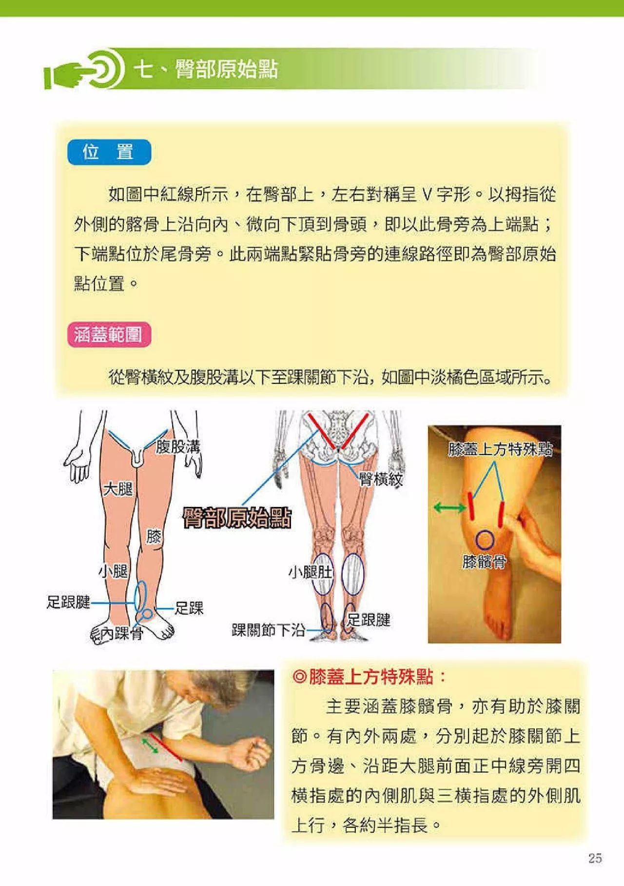 原始点健康手册(第四版)(繁体版) 原始点健康手册(第四版)(繁体版)