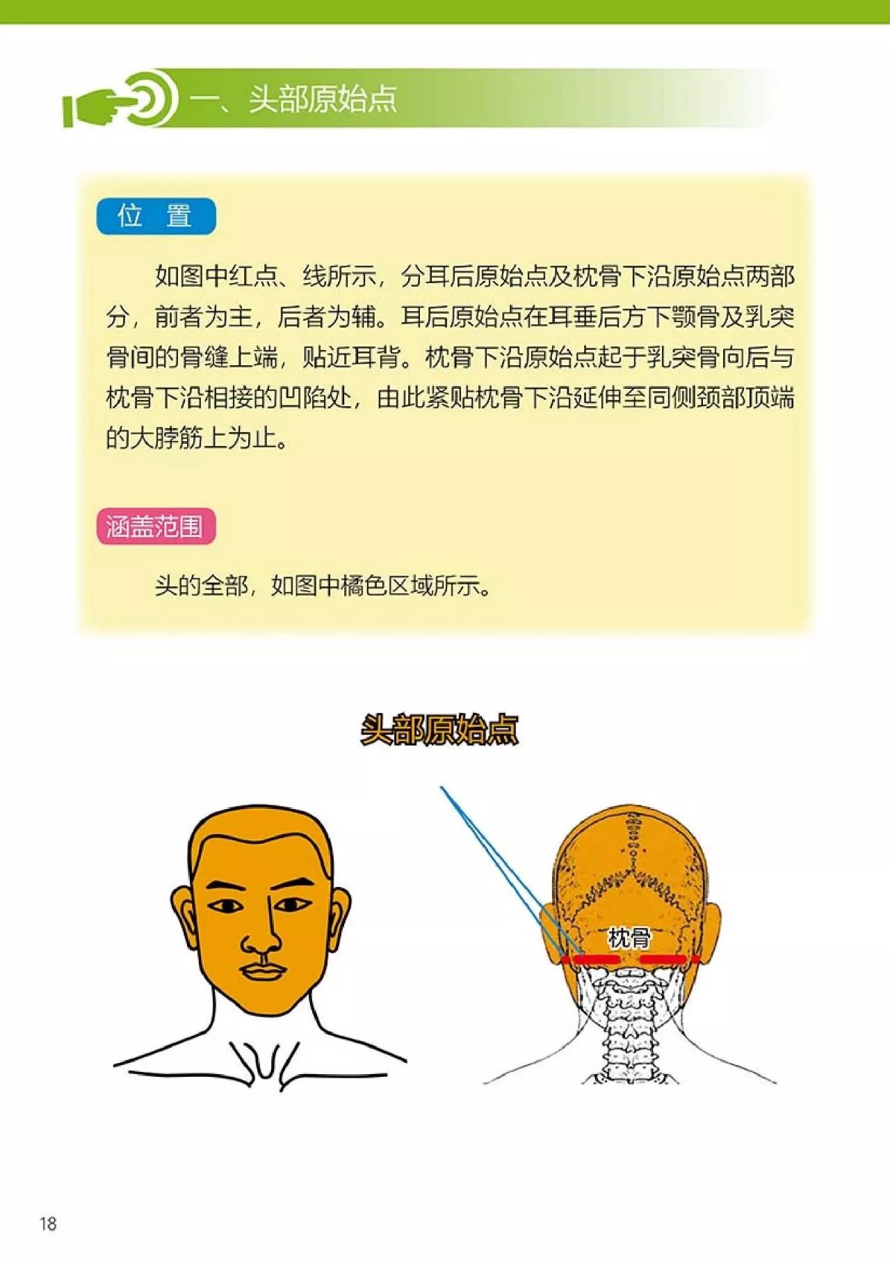 原始点健康手册(第四版)(简体版) 原始点健康手册(第四版)(简体版)