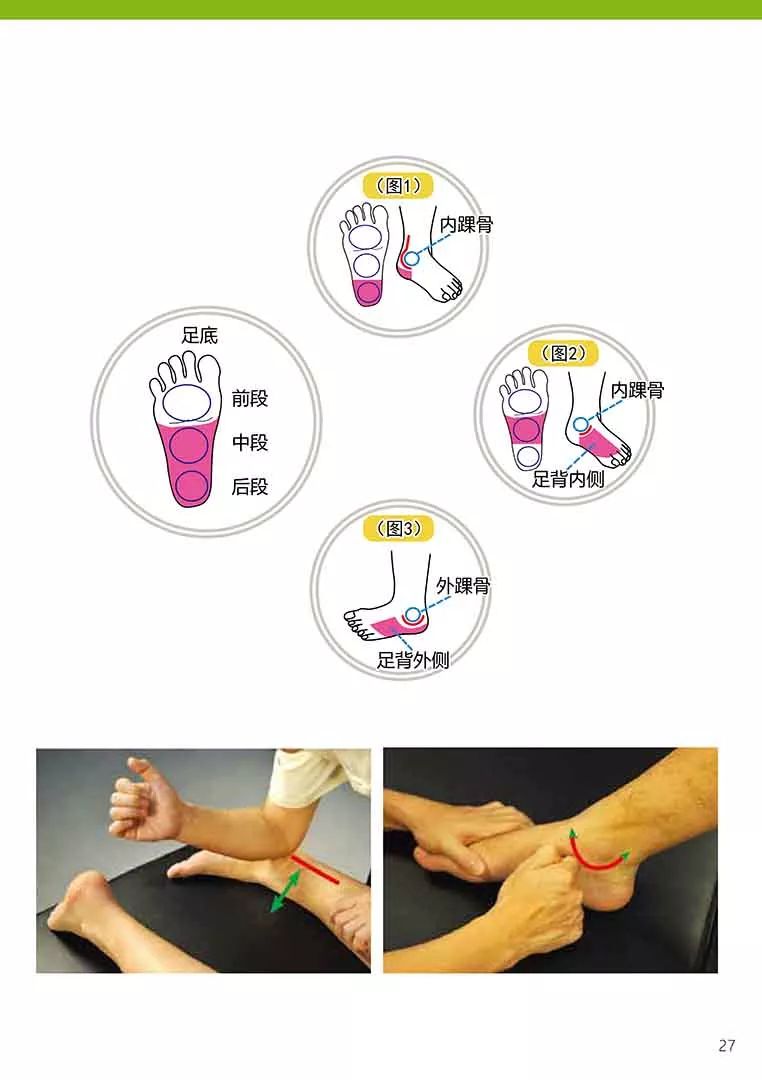原始点健康手册(第五版)(简体版) 原始点健康手册(第五版)(简体版)