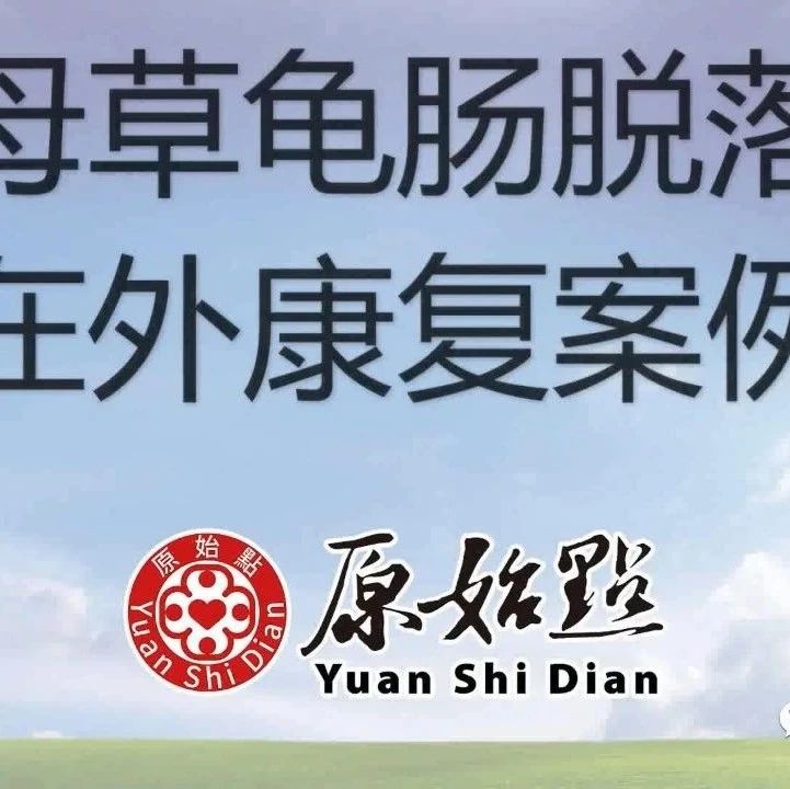 母草龟肠脱落在外康复案例2020年7月-原始点全球同学网