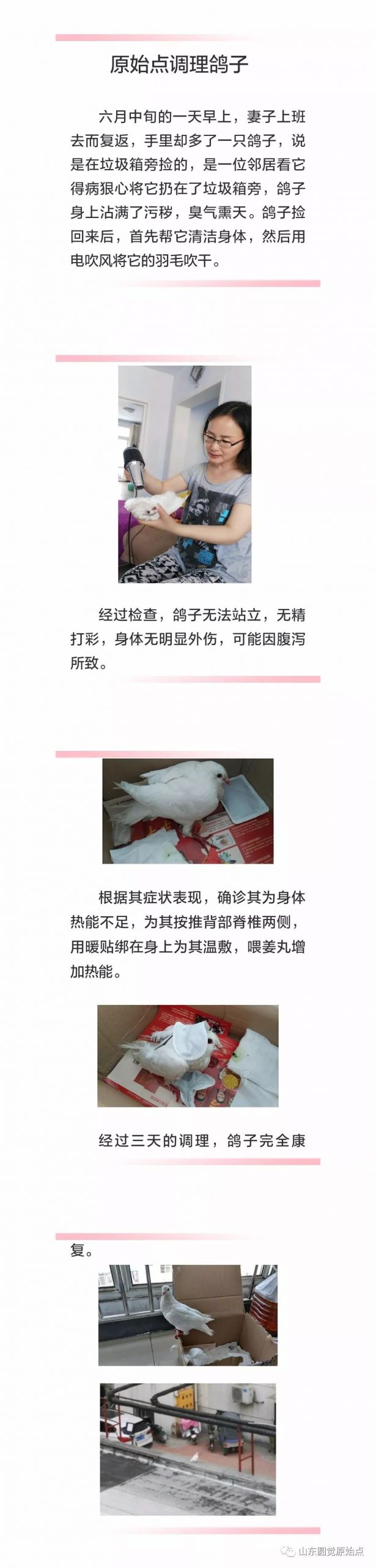 原始点动物趣事