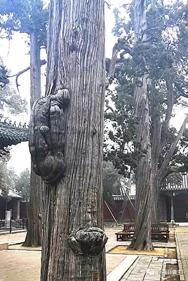 原始点精选案例、文章分类汇编（2021，9）