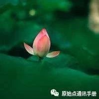 天津 原始点服务点 理疗店 按摩调理点通讯录 （非纯公益）（2021年7月14日更新）服务点理疗店交流点 （非纯公益） 通讯录。前往学习或接受服务时，请先电话咨询联系。-原始点全球同学网