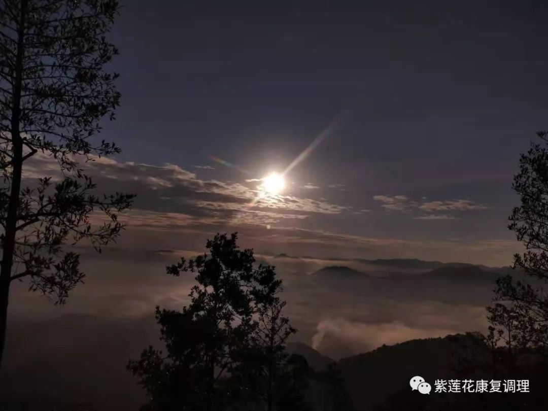 广西.南宁.紫莲花原始点公益中心