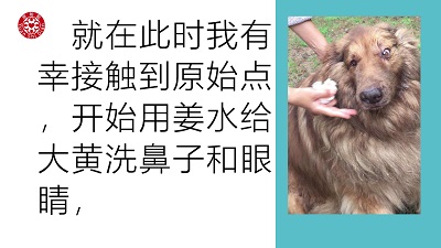 ★张钊汉原始点健康资讯网 开通