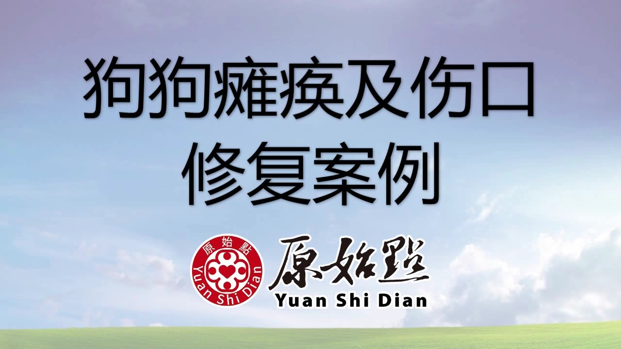 ★张钊汉原始点健康资讯网 开通