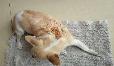 ★张钊汉原始点健康资讯网 开通