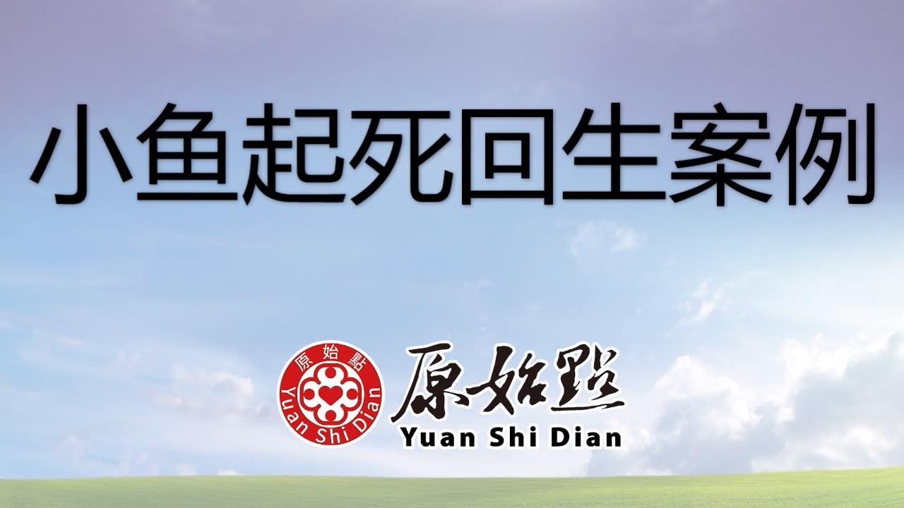 ★张钊汉原始点健康资讯网 开通