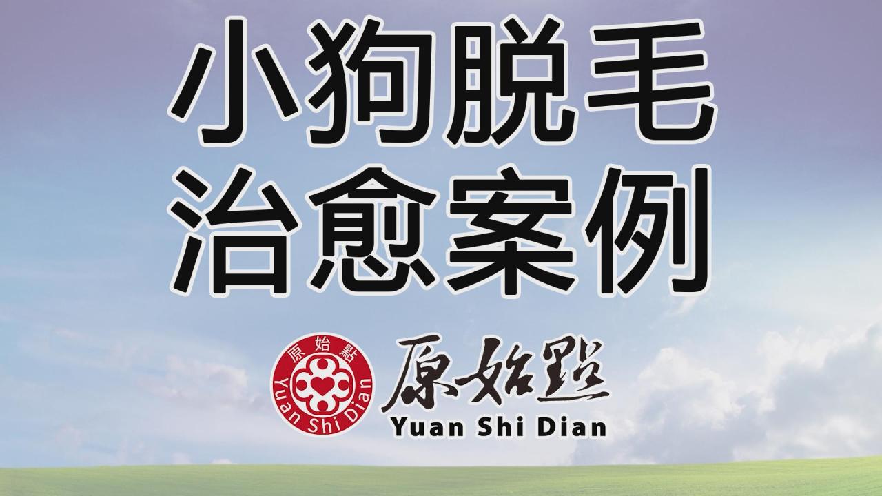 ★张钊汉原始点健康资讯网 开通