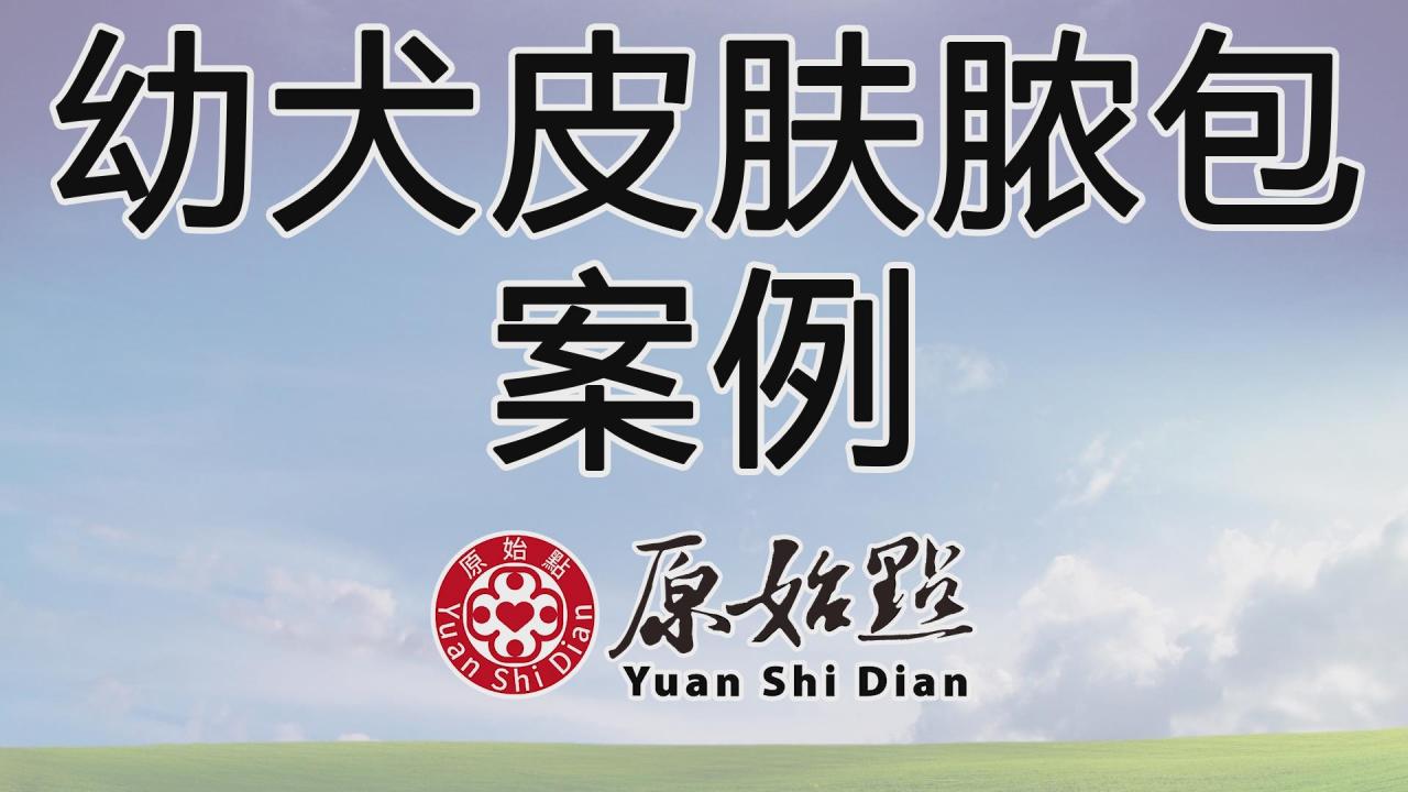 ★张钊汉原始点健康资讯网 开通