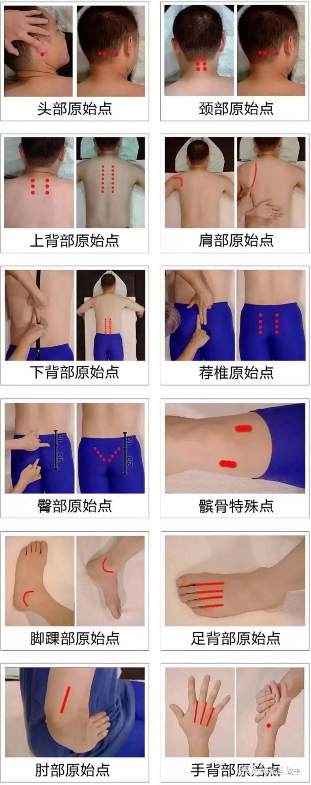 原始点精选案例、文章分类汇编（2021，9）