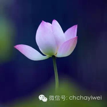 无锡灵山志工原始点团队 健康公益服务总部 2021年灵山志工原始点第五期培训班理论&手法测试2021.1.18-原始点全球同学网