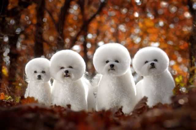 灵山志工原始点团队 健康公益服务总部 2021细学深悟学习班第一课程09-15 灵山志工原始点团队 健康公益服务总部 2021细学深悟学习班第一课程09-15