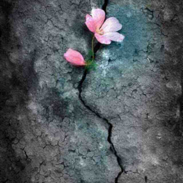 灵山志工原始点团队 健康公益服务总部 2021细学深悟学习班第一课程09-15 灵山志工原始点团队 健康公益服务总部 2021细学深悟学习班第一课程09-15