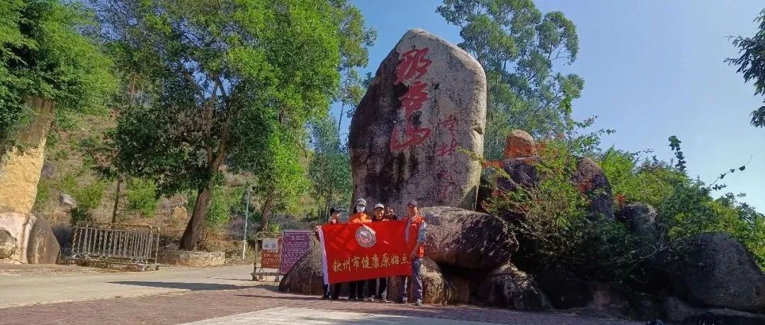 发烧、咳嗽、失眠案例-原始点全球同学网