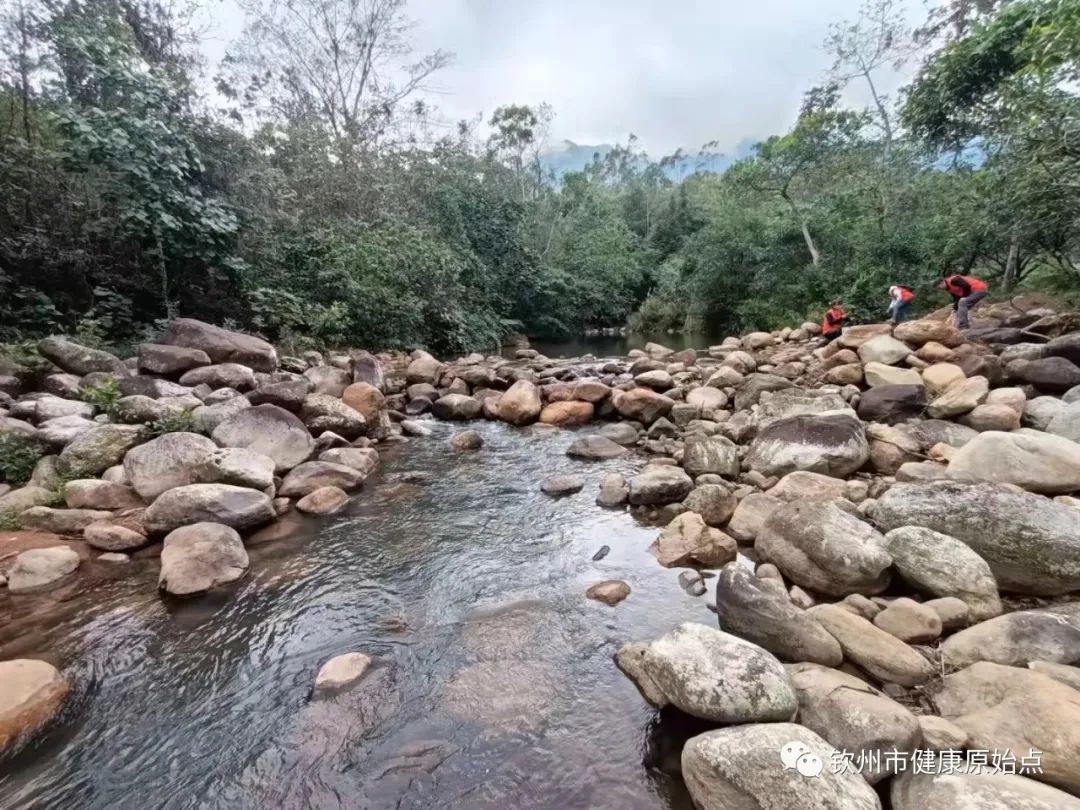 庆钦州市健康原始点成立一周年 庆钦州市健康原始点成立一周年