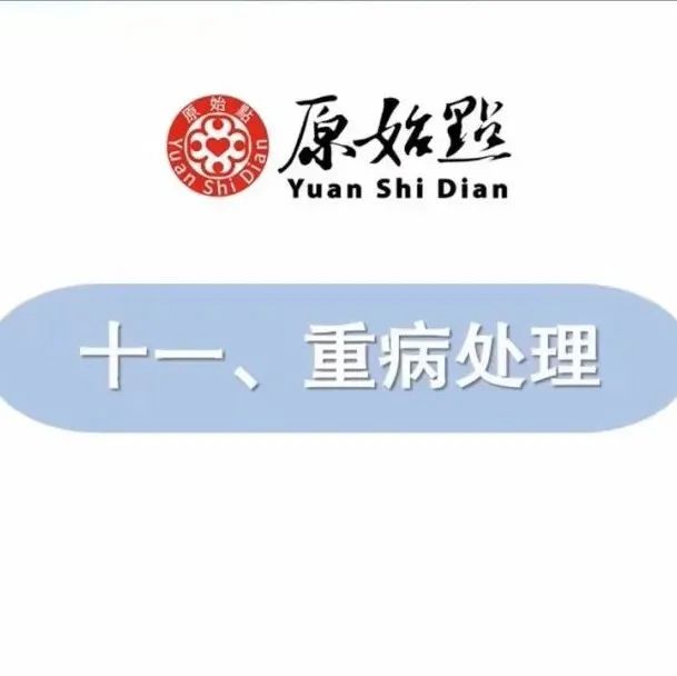 重病处理 2021年12月12号张医师线上直播-原始点全球同学网