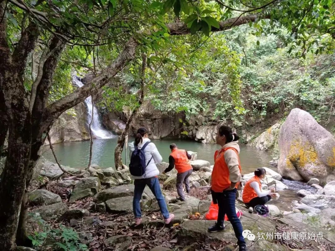 庆钦州市健康原始点成立一周年 庆钦州市健康原始点成立一周年
