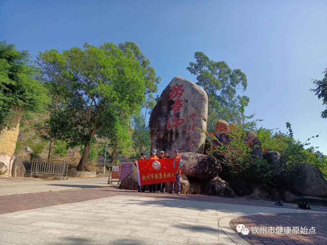 发烧、咳嗽、失眠案例 发烧、咳嗽、失眠案例