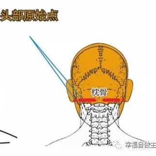 老爸多处脑出血，医院认为已经没有治疗价值 原始点处理 神奇案例- 第12天的竟然能下地住着拐杖走路了，以后把所有的药物都停了，一直到现在82岁已经四年不吃药，不打针-原始点全球同学网