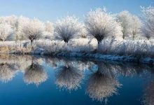 没文化老人老实听话照做--70岁表姐胃癌快速康复案例！-原始点全球同学网