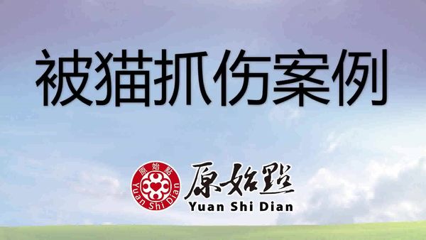 被猫抓伤-原始点全球同学网