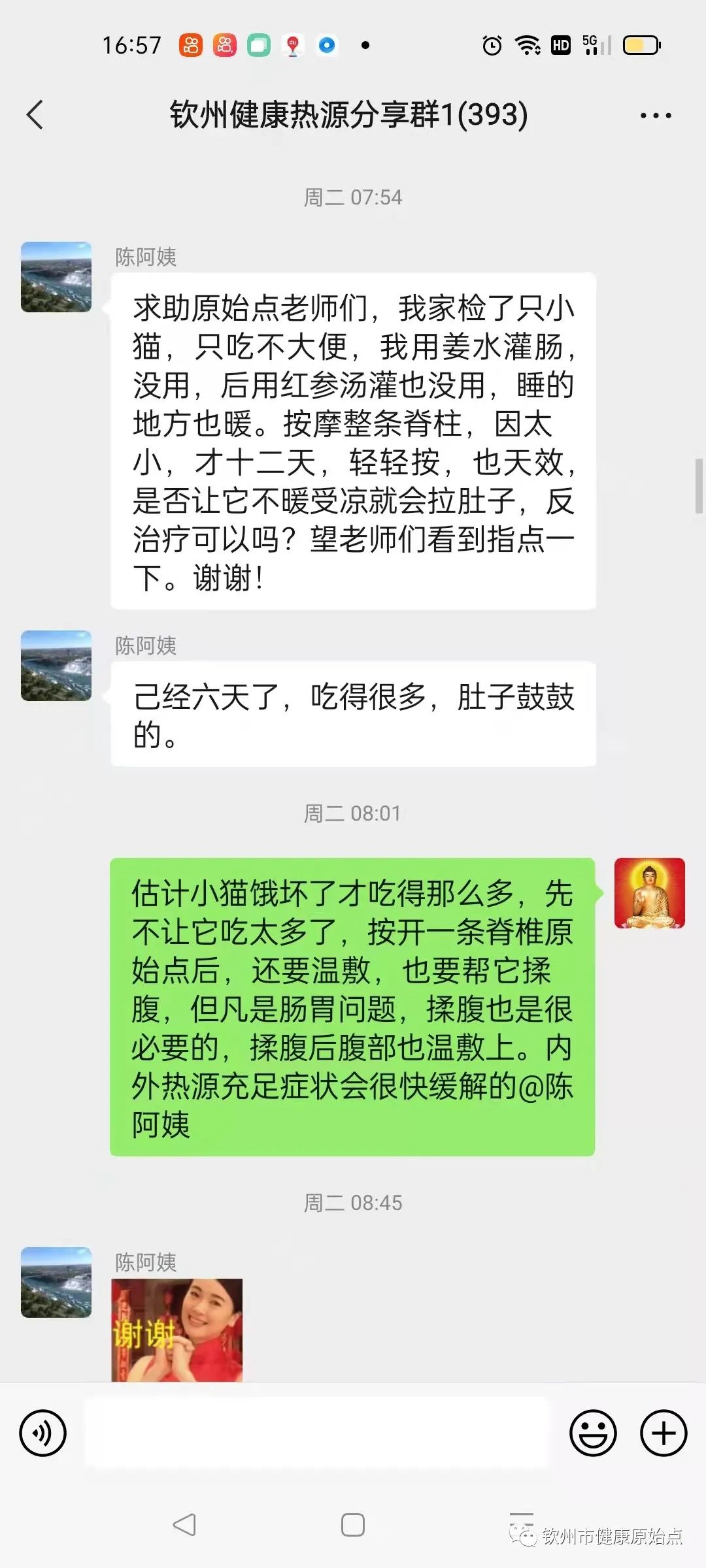 小猫咪便秘六天案例 小猫咪便秘六天案例