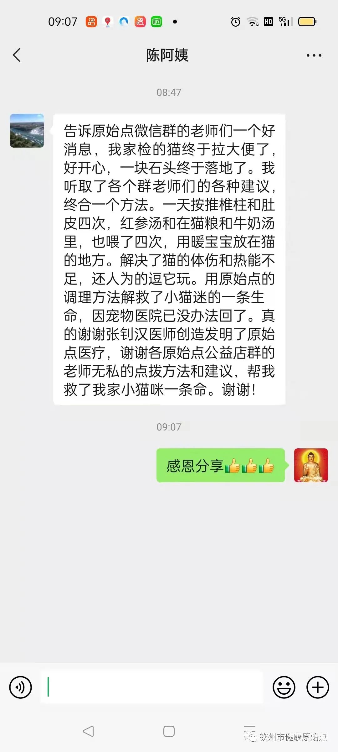 小猫咪便秘六天案例 小猫咪便秘六天案例