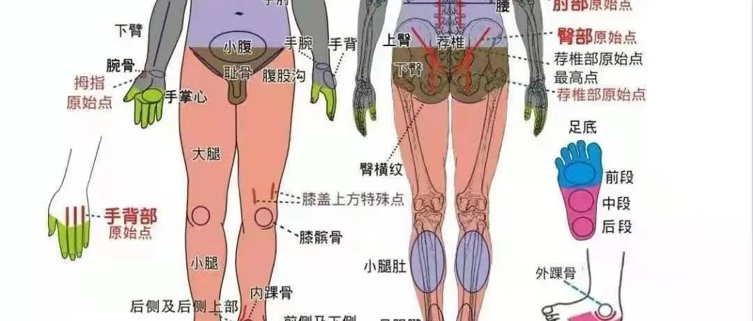 2024年2月原始点初级培训暨保健按摩师初级班通知2024年河南郑州市劳动大厦2月26号--3月3号-原始点全球同学网