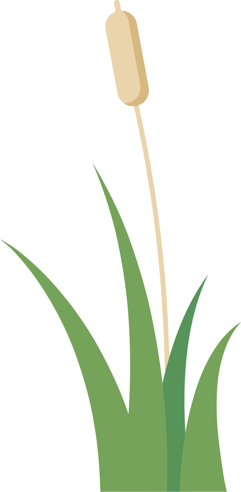 佛山愿天下无痛网站和小程序上线开通 佛山愿天下无痛网站和小程序上线开通