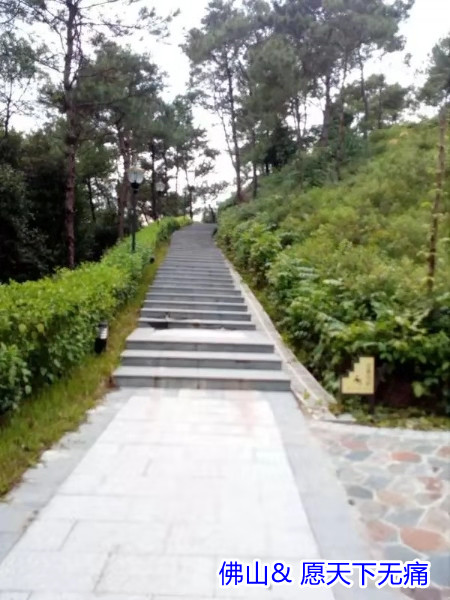 原始点调理突发性全身无力尿失禁视力模糊：热源是根本 - 身体  五脏六腑 - 佛山市愿天下无痛健康管理服务有限公司