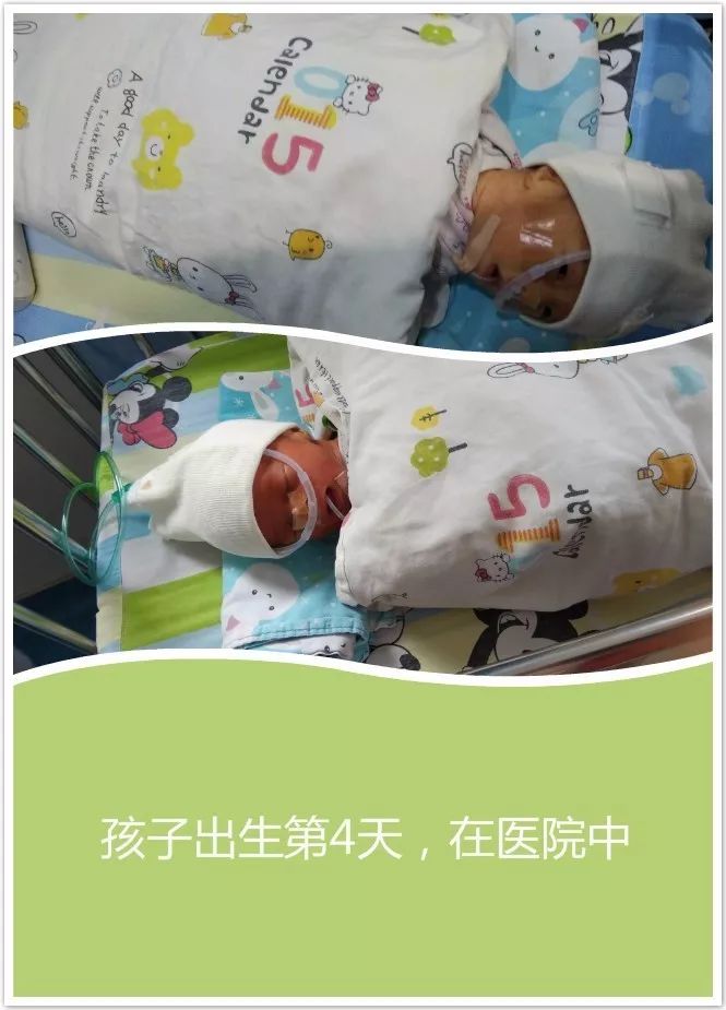 智慧父母选择原始点调理早产儿，转危为安案例 - 幼儿  儿童 - 佛山市愿天下无痛健康管理服务有限公司