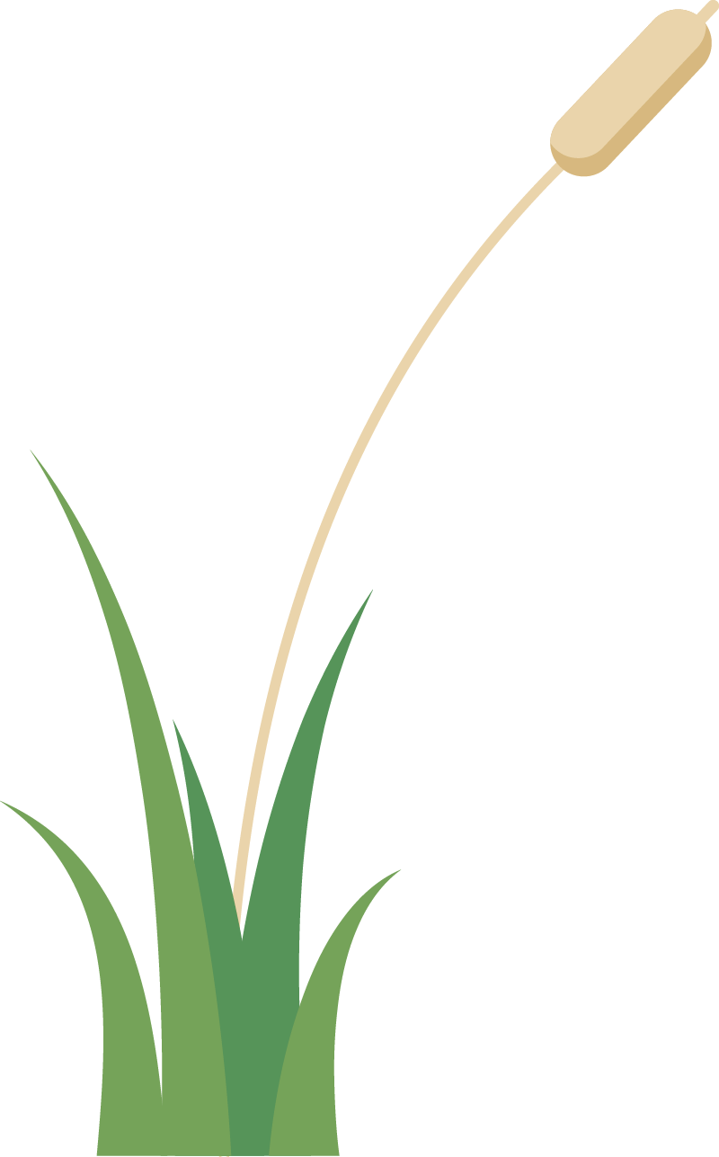 佛山愿天下无痛网站和小程序上线开通 佛山愿天下无痛网站和小程序上线开通