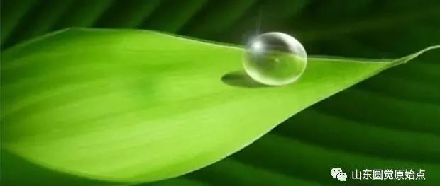 肝癌中晚期案例-原始点全球同学网