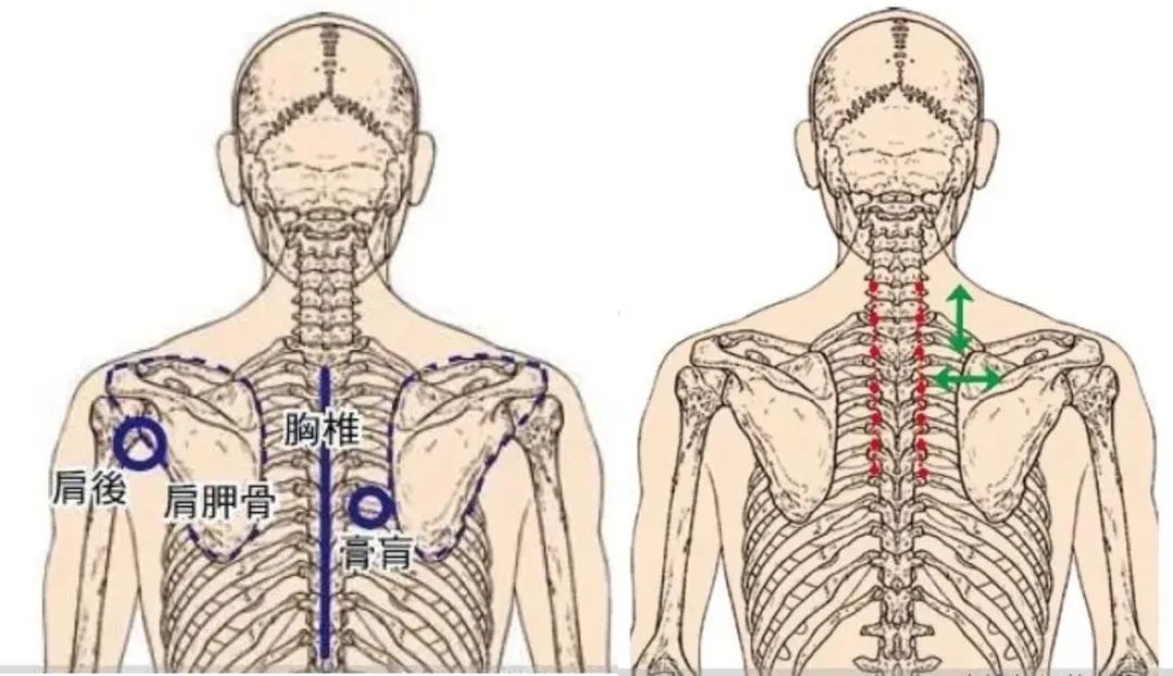 元亨久生堂案例丨家长学会这些,孩子感冒发烧的症状!自己就能轻松应对 元亨久生堂案例丨家长学会这些,孩子感冒发烧的症状!自己就能轻松应对