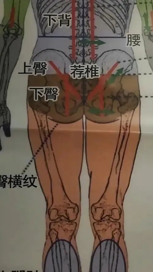 元亨久生堂案例丨家长学会这些,孩子感冒发烧的症状!自己就能轻松应对 元亨久生堂案例丨家长学会这些,孩子感冒发烧的症状!自己就能轻松应对