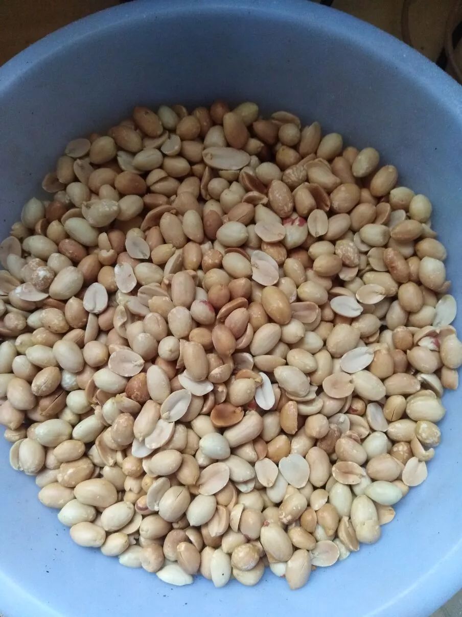 和善堂养生中心养生能量粉 和善堂养生中心养生能量粉