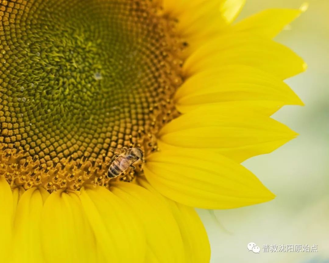 皮肤病案例（湿疹、水泡、破皮）