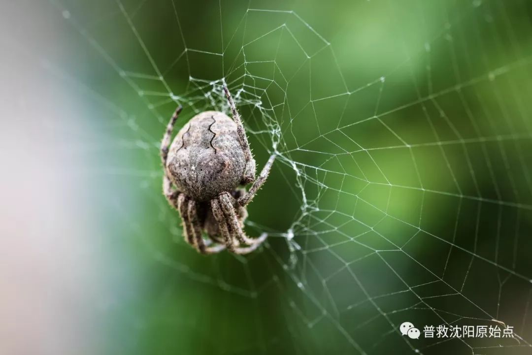 皮肤病案例（湿疹、水泡、破皮）