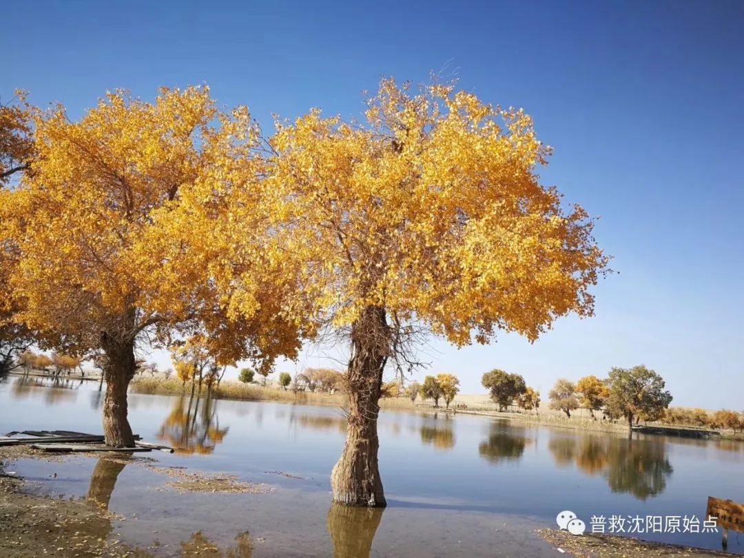 皮肤病案例（湿疹、水泡、破皮）
