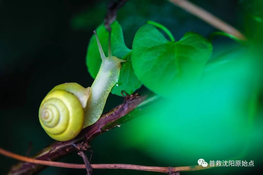 皮肤病案例（湿疹、水泡、破皮）