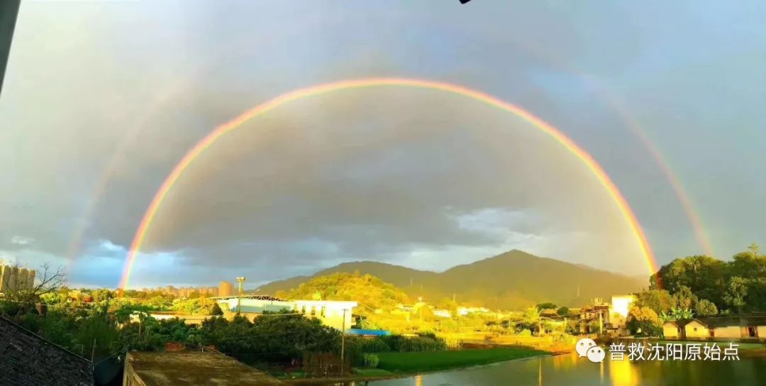 皮肤病案例（湿疹、水泡、破皮）
