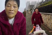 案例分享：70歲老人腹痛（醫院初診可能升結腸癌）飛蛾癥、腿抽筋、失眠調理案例-原始點全球同學網