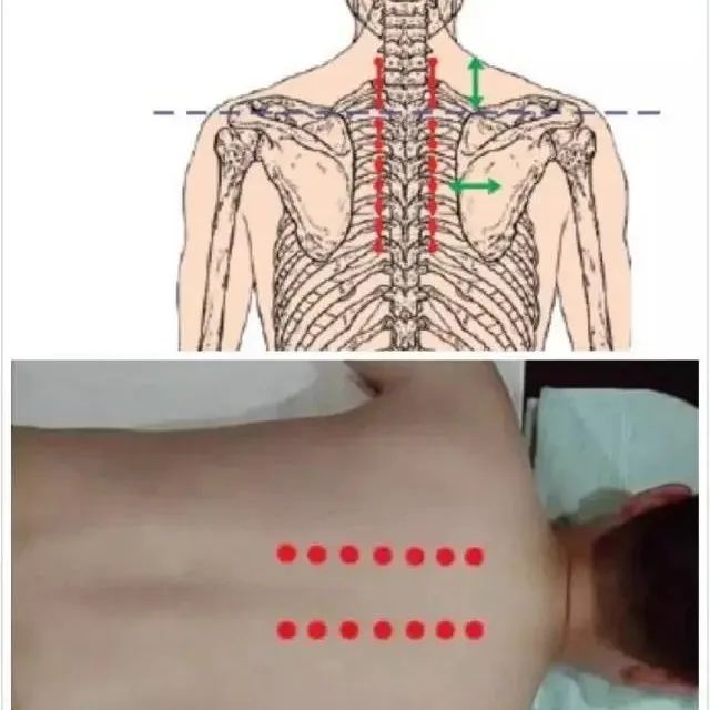 最好的急救方法赶紧学起来吧-原始点全球同学网