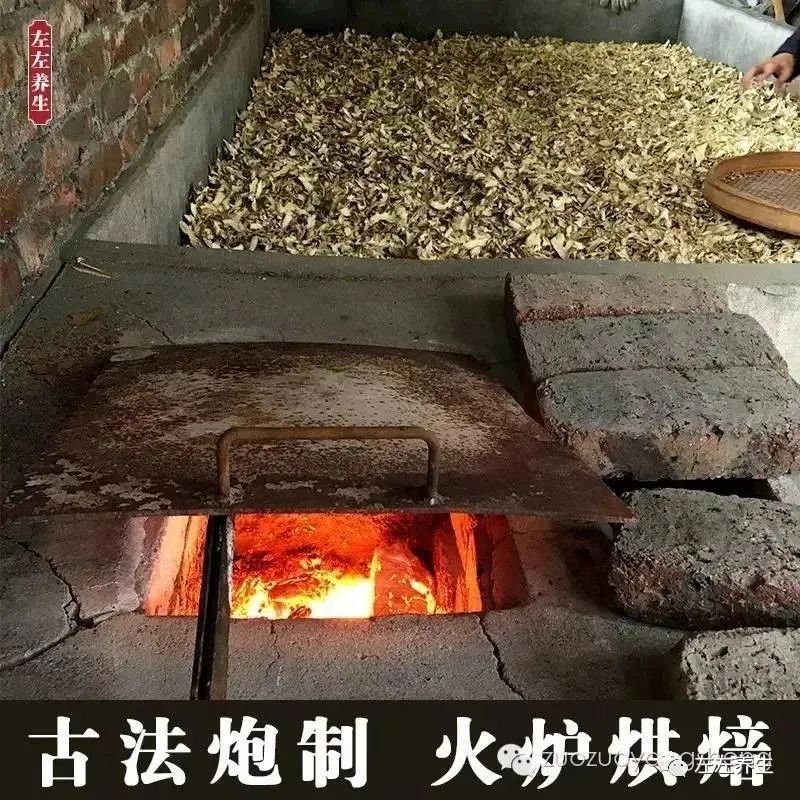 生姜好比“还魂草”，你有尝试过吗？-原始点全球同学网