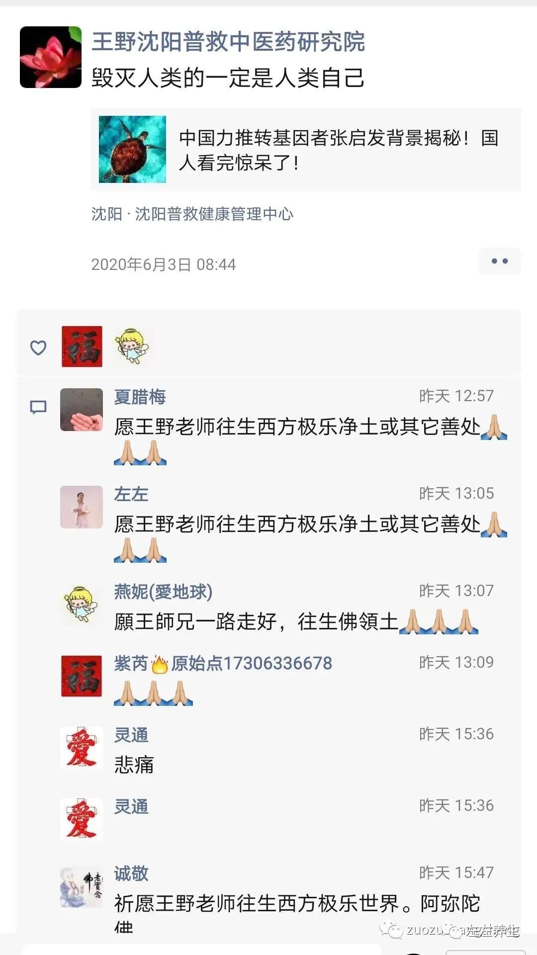 悼念大陆原始点巨星——王野老师 悼念大陆原始点巨星——王野老师