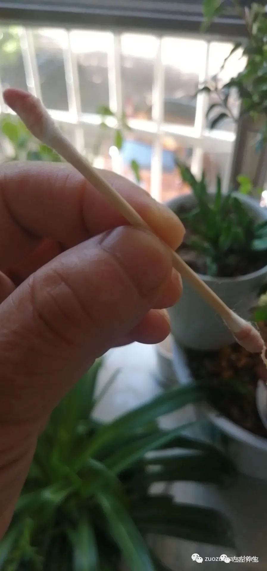 案例分享：成人耳聋、耳鸣、耳朵出血调理案例