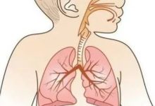 微问答85期:孩子肺炎我不想给孩子吃药,又对自己手法么信心,怎么办?-原始点全球同学网