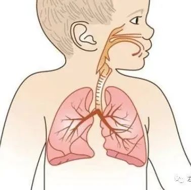 微问答85期：孩子肺炎我不想给孩子吃药，又对自己手法么信心，怎么办？-原始点全球同学网